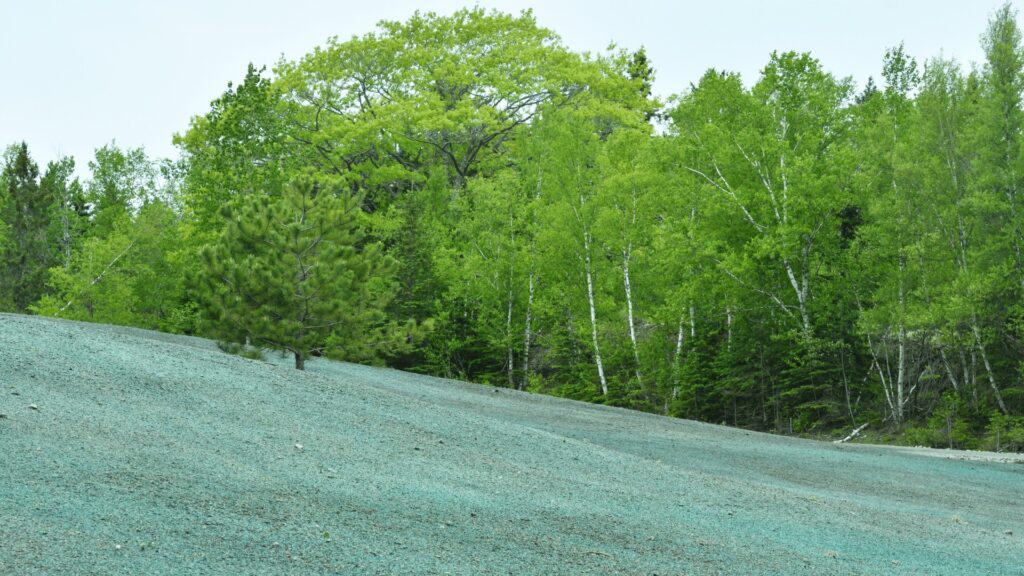 Hydroseeding