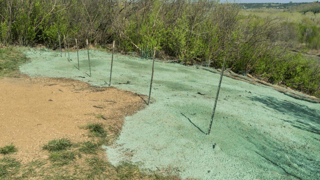 Hydroseeding